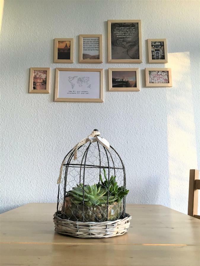 Ruhiges Apartment Am Rande Des Szeneviertels Drážďany Exteriér fotografie